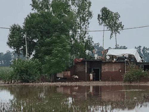 People are forced to stay on the roofs due to water. They have put tarpaulin on the roofs itself.