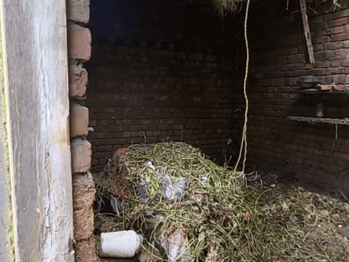 When the Ghunewal dam was broken, the village was flooded by about six to eight feet. The water has landed, but has fallen to the roof of houses. This has caused more damage.