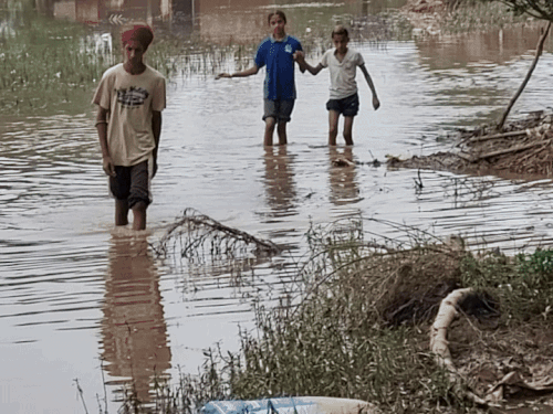 The village Ghonwal is still full of water. People are coming from each other's house from the middle of the water.