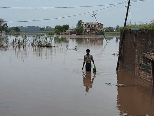 The village Ghnewal is still filled with water from 2 to 3 feet.