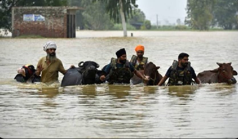 मनु भाकर ने शेयर की बाढ़ पीड़ितों की फोटो।