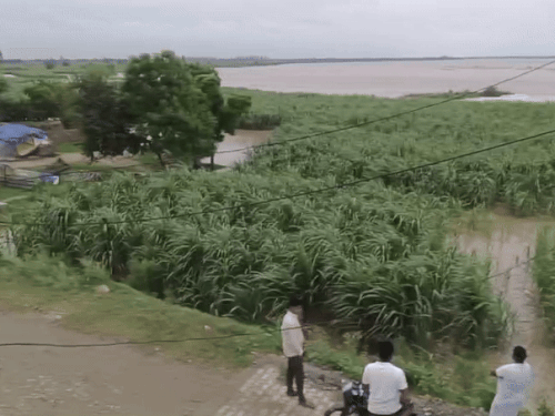घरौंडा एरिया में खेतों से उतराता यमुना का पानी।