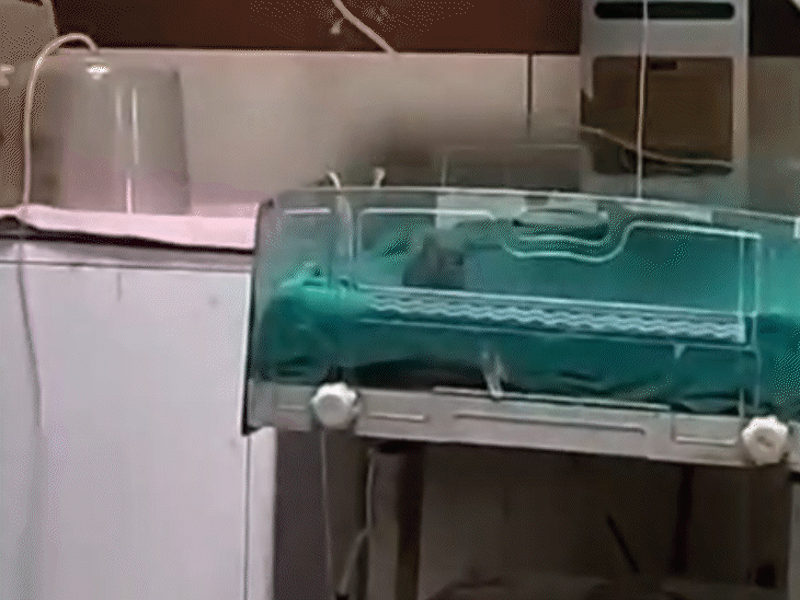 In the hospital in the hospital, the incubators are seen jumping like this.