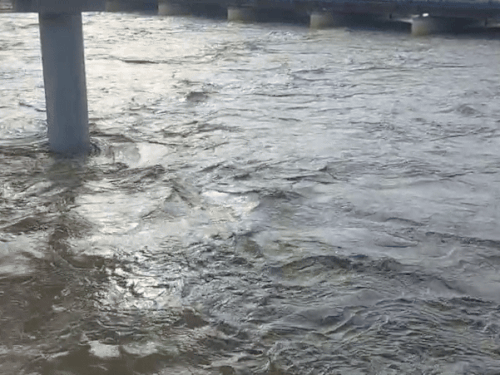 यमुना नदी का जलस्तर घटा