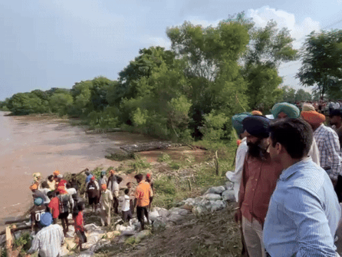 लुधियाना के गढ़ी फाजल गांव में चल रहे बांध का जायजा लेने पहुंचे डिप्टी कमिश्नर हिमांशु जैन। - Dainik Bhaskar