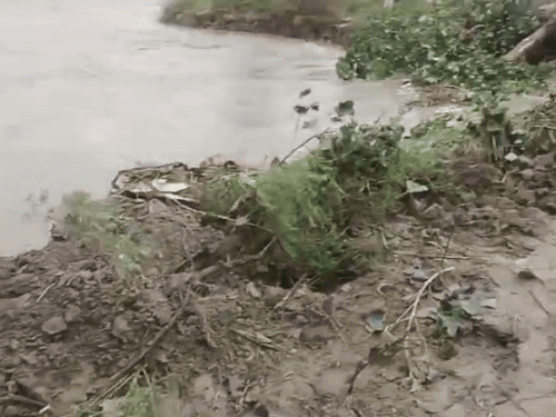 यमुना के जल स्तर बढ़ने पर घरौंड़ा में पानी के हालात।
