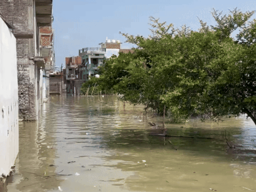 बाढ़ से कई इलाकों की गलियां हुई जलमग्न।