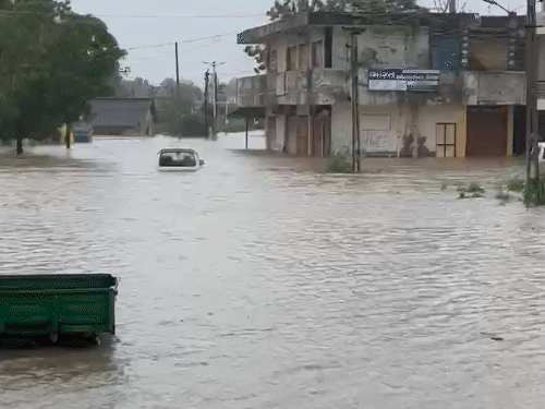 थराद में बारिश के पानी में डूबी हुई गाड़ियां।