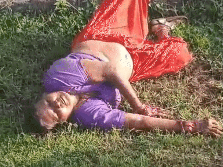 महिला ने सियार से संघर्ष किया और उसके गले में साड़ी का फंदा लगाकर मार डाला।