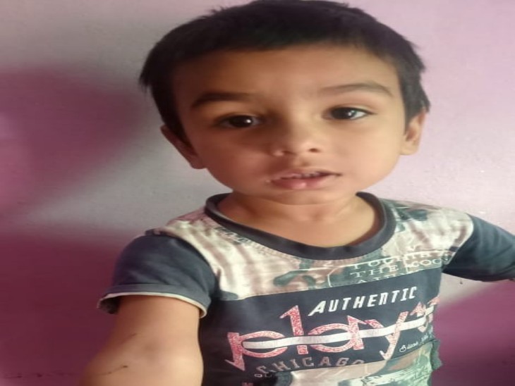 बंदरों ने कई दिन पहले पलसाना में एक बच्चे पर भी हमला कर दिया था।