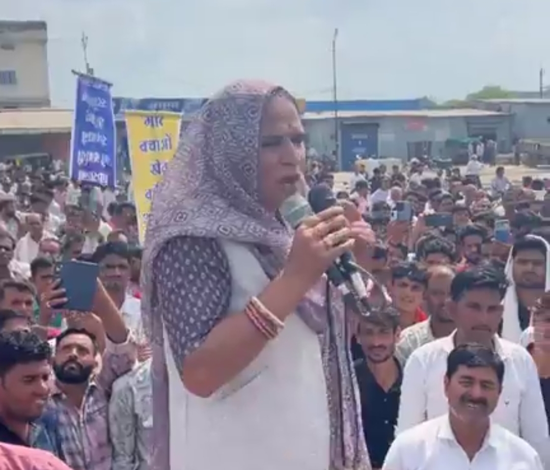 रैली को संबोधित करतीं पूर्व विधायक ममता मीणा।