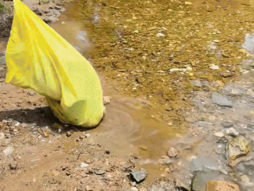 12 फीट अजगर को पकड़ने में 40 मिनट का समय लगा।