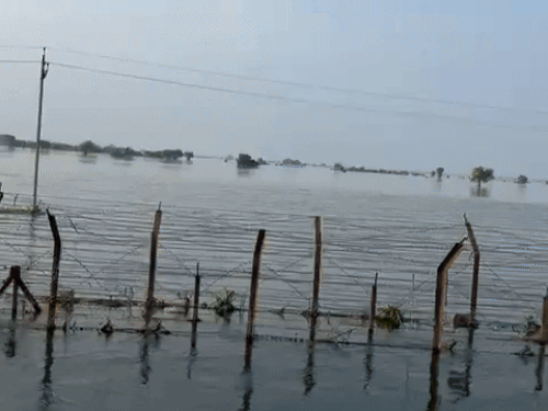 This is Ferozepur Zero Line, where about 12 to 14 feet of water is filled. About seven kilometers long dam was built in front of it.