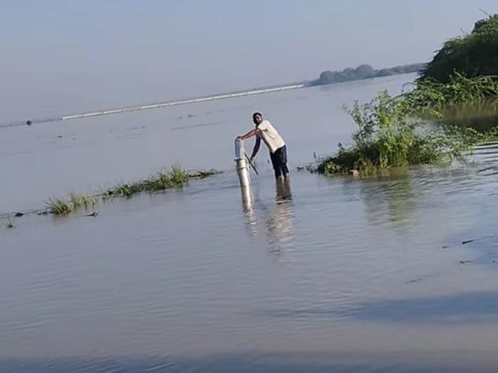 यूपी में मानसून: गोंडा में बाढ़ में बहकर आया मगरमच्छ, बरेली समेत 13 जिलों में अलर्ट