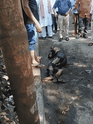 लखनऊ स्थित समाजवादी पार्टी के ऑफिस के बाहर बुधवार को युवक ने खुद को आग लगा ली।