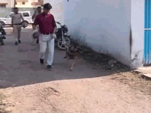 डॉग स्क्वायड की टीम से आसपास के इलाकों की जांच कराई गई थी।
