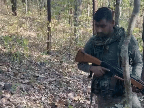 गरियाबंद के मैनपुर के जंगलों में सुरक्षाबलों और नक्सलियों के बीच मुठभेड़ हुई है।