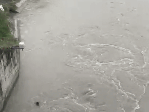 Initially, the woman was seen flowing in the canal, but after that nothing was found.