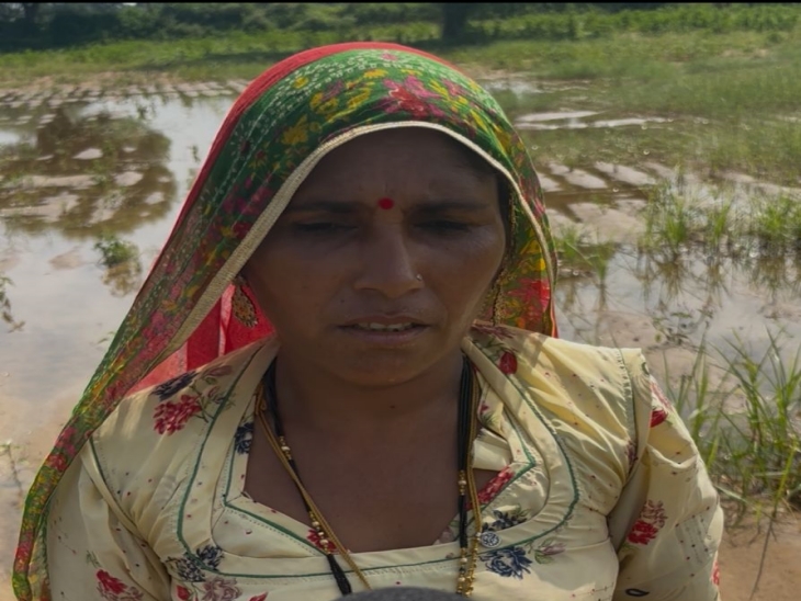 रोहिसा की किसान दुर्गा माली ने बताया कि 22 बीघा जमीन में मूंग की बुआई की थी। फसल छोड़ो चारा भी नहीं बचा है, सब गल गया है।
