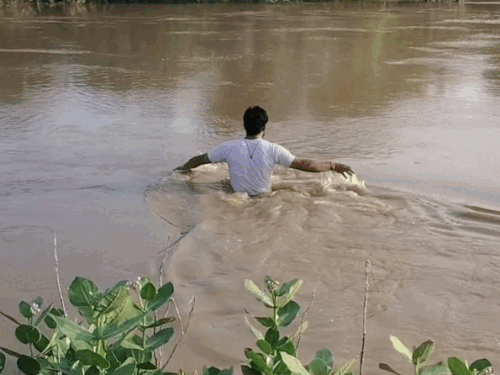 नदी में युवक की तलाश करते हुए ग्रामीण।