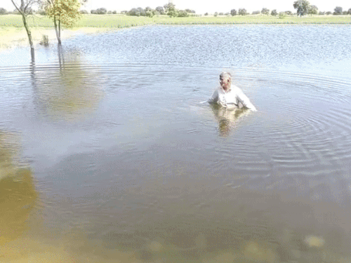 विधायक विनेश फोगाट को पानी में उतरकर जलभराव की असलियत दिखाता ग्रामीण।