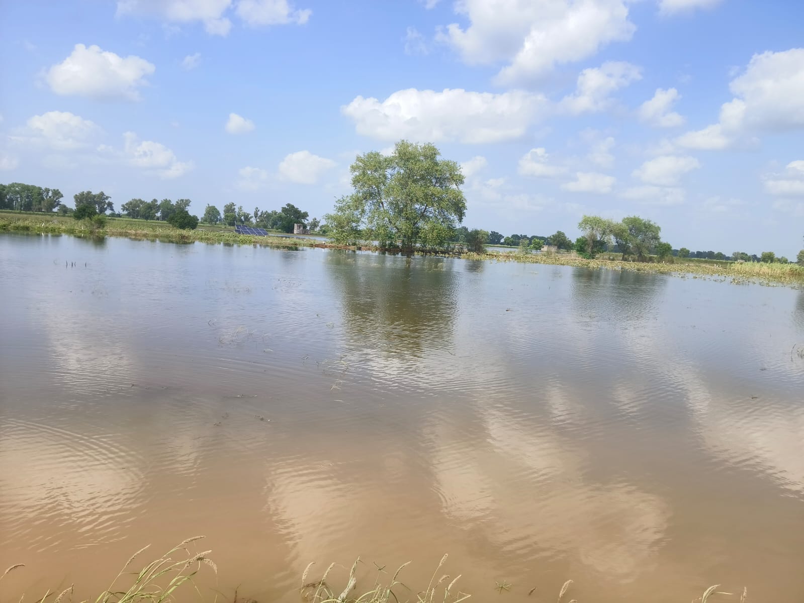 Drain water also in village fields