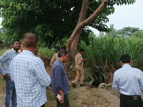 This is the same sugarcane field where the girl's body was found.