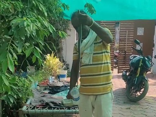 रायसेन में जूते के अंदर से नागिन को पकड़ा गया।