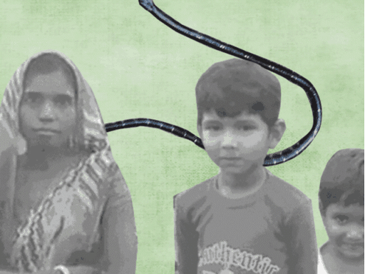 शिवपुरी में घर में सो रही मां और दो बेटों को सांप ने काट लिया, जिससे तीनों की मौत हो गई।