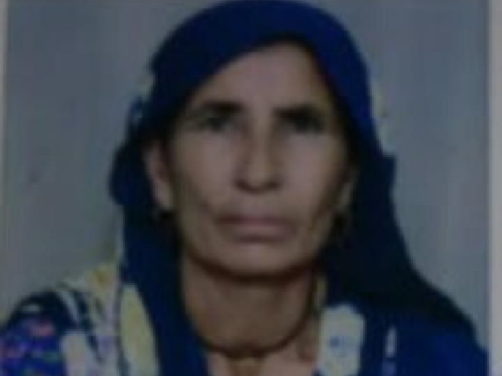 मृतक महिला कृष्णा का फाइल फोटो। - Dainik Bhaskar