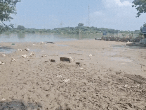 यमुना किनारे बाढ़ गुजरने के बाद जमी सिल्ट।