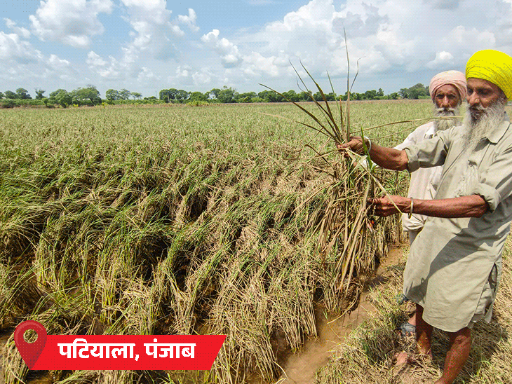 24 घंटे में लगातार बारिश से इंफाल में कई जगह बाढ़ जैसे हालात बने वहीं पंजाब के पटियाला में कई एकड़ फसल बर्बाद हो गई - Dainik Bhaskar