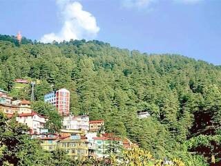 Green area with Jakhu in Shimla.