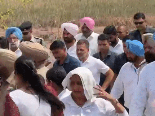 Rahul Gandhi Punjab LIVE Update; Amritsar Flood | Gurdaspur Pathankot | पंजाब में राहुल गांधी ने रोता बच्चा चुप कराया: बाढ़ पीड़ितों से मिले, पाक बॉर्डर से सटे गांवों में ...