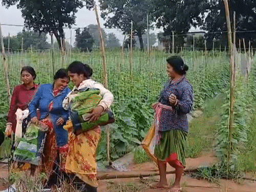 परिवार के सभी सदस्य खेती में हाथ बंटाते है।