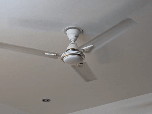 अलवर में एक ज्योतिष ने पंखे की कैप में ज्वेलरी छुपा दी। अब ज्वेलरी मिल नहीं रही। ज्योतिष का कहना है कि मकान में रंगाई-पुताई कराई थी, तब से ज्वेलरी गायब है।