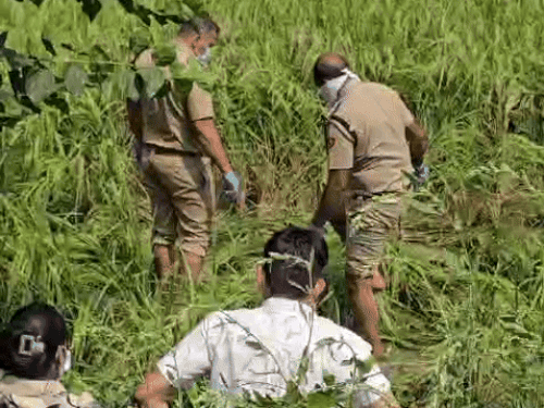 खेतों में शव के पास अन्य साक्ष्य जुटाती पुलिस।