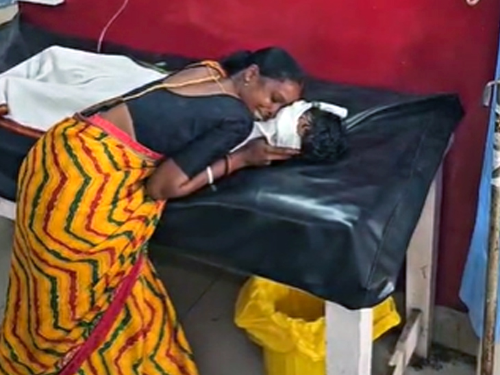 कोडरमा में मधुमक्खियों के हमले से बच्ची की मौत:  बकरी चराने गई 5 साल की बच्ची को काटा, दो अन्य बच्चे भी घायल – koderma News