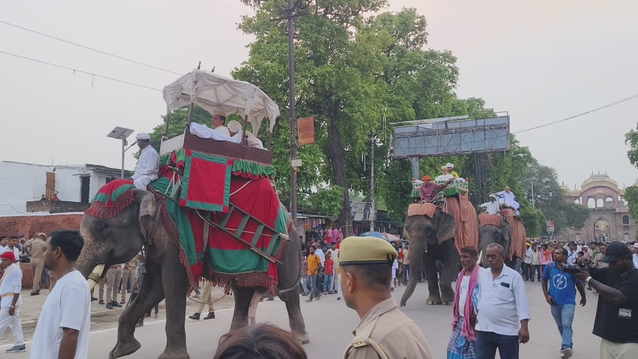 हाथी पर सवार होकर निकले राजा।