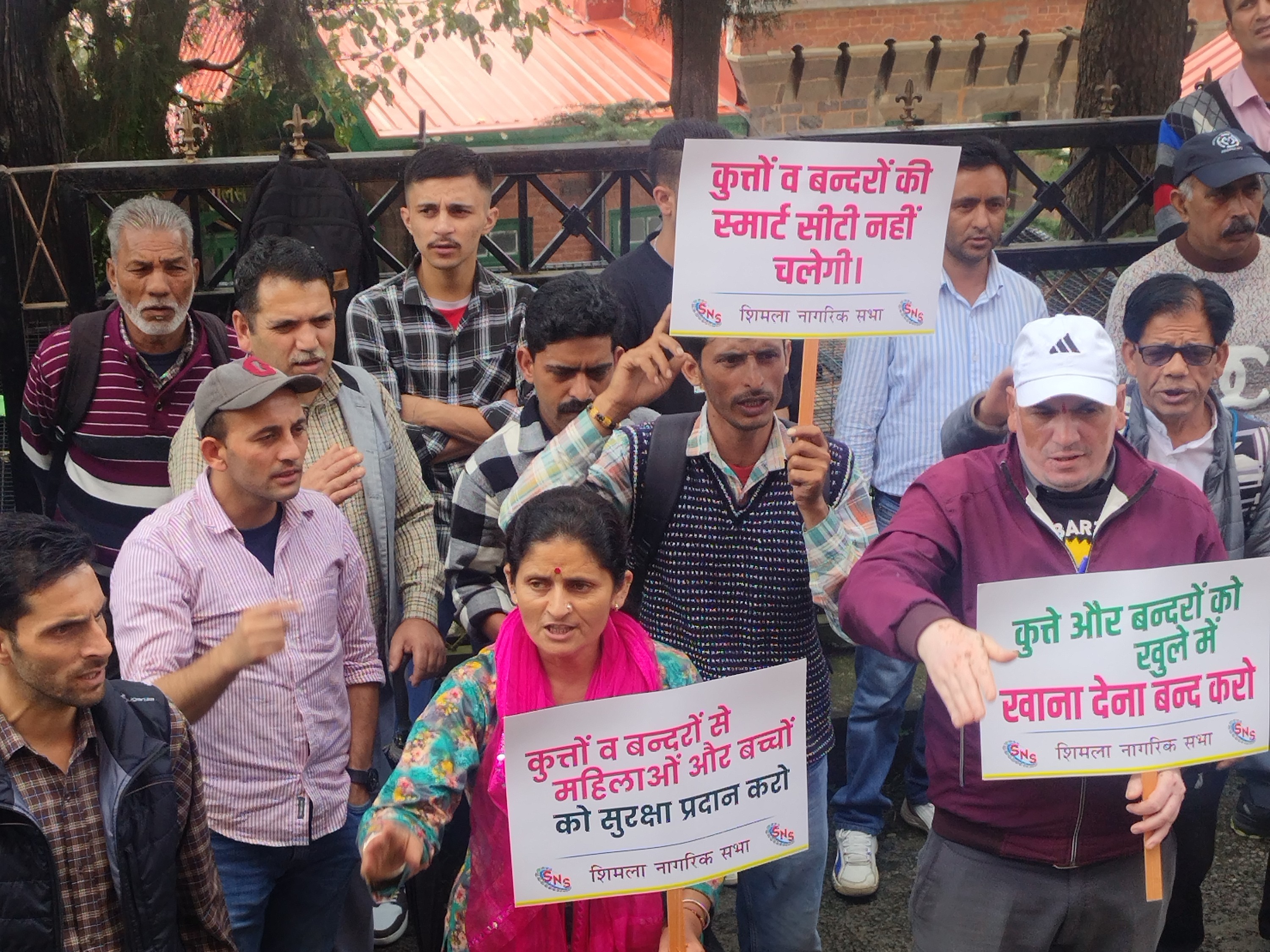 शिमला में आवारा कुत्तों के लिए हट्स बनाने की मांग:  नागरिक सभा का डीसी ऑफिस के बाहर प्रदर्शन, निगम के खिलाफ नारेबाजी – Shimla News