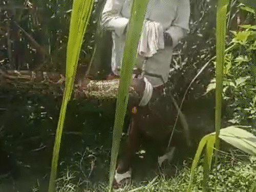 लखनऊ में जोरदार बारिश से जलभराव, जौनपुर में बिजली गिरने से बच्‍चों समेत तीन की मौत