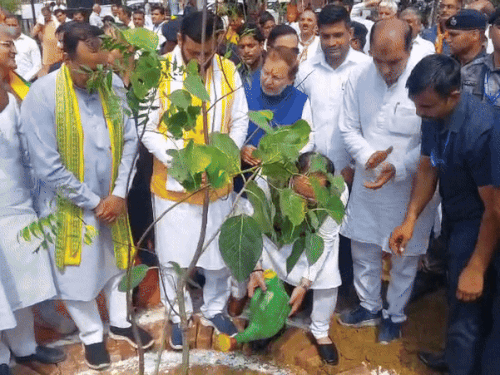 रोहतक में पौधारोपण करते भाजपा के राष्ट्रीय अध्यक्ष जेपी नड्‌डा। - Dainik Bhaskar