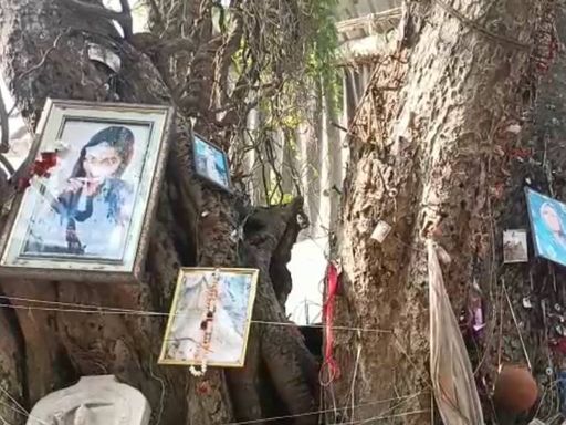 पिशाच मोचन कुंड के इसी पेड़ पर अतृप्त आत्माओं को बैठाया जाता है।