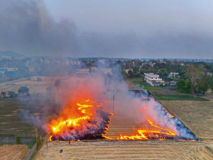 सुप्रीम कोर्ट बोला-पराली जलाने वालों को गिरफ्तार क्यों नहीं करते:  राज्य और एजेंसियां 3 हफ्ते में बताएं, वायु प्रदूषण से निपटने क्या उपाय करेंगे