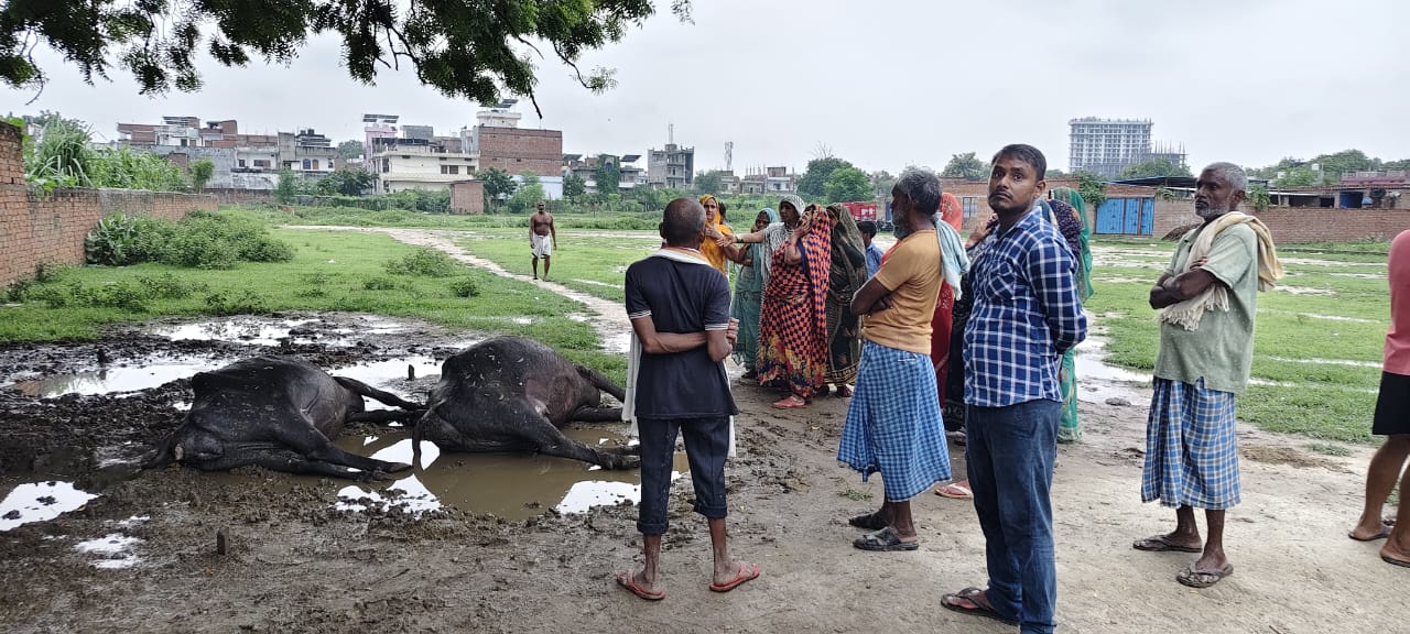 लखनऊ में जोरदार बारिश से जलभराव, जौनपुर में बिजली गिरने से बच्‍चों समेत तीन की मौत