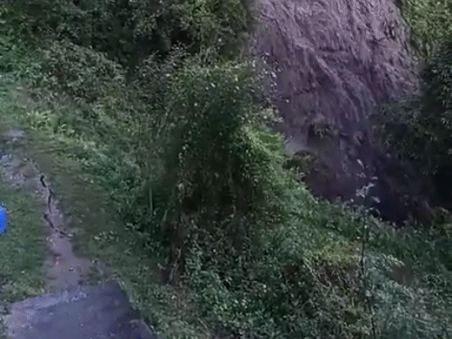 After heavy rains in Thach village of Kinnaur, farmers' orchards