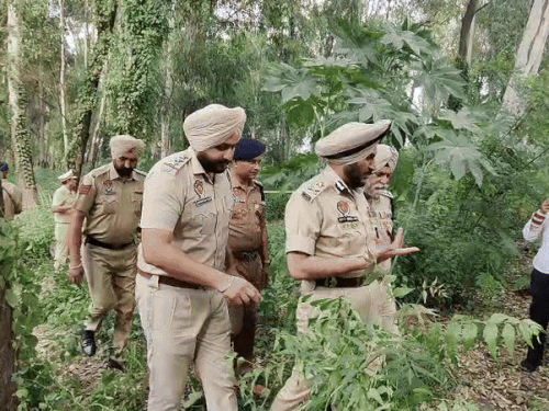 गैंगवार स्थल पर जांच-पड़ताल करने पहुंचे पुलिस के उच्च अधिकारी।