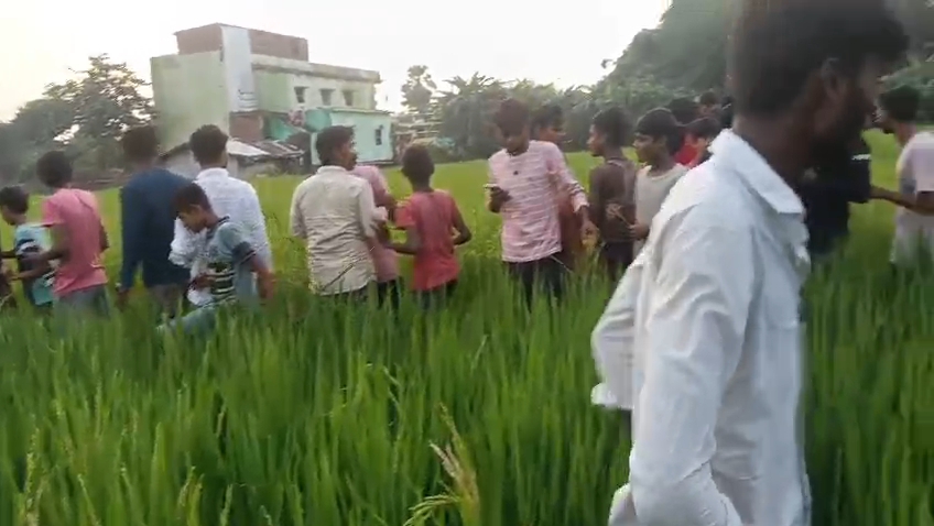 मोबाइल टावर पर चढ़ा, शादीशुदा प्रेमिका को लगाई आवाज; VIDEO:  समस्तीपुर में बैलेंस बिगड़ने से गिरा प्रेमी, मौत के बाद महिला फरार – Samastipur News