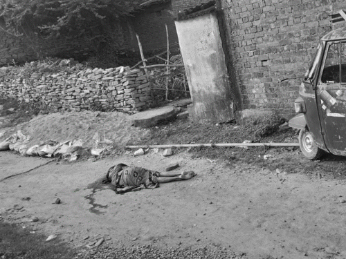 जादू-टोने के शक में मां का कातिल बना बेटा। - Dainik Bhaskar