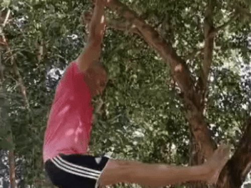 पेड़ से लटककर एक्सरसाइज करते समर सिंह।